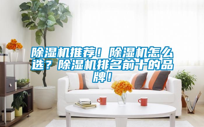除濕機(jī)推薦！除濕機(jī)怎么選？除濕機(jī)排名前十的品牌！