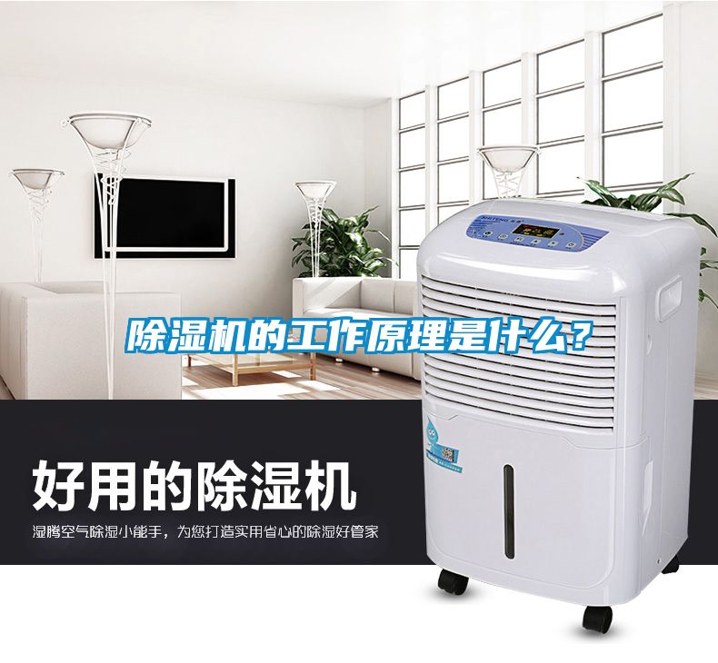 除濕機(jī)的工作原理是什么？