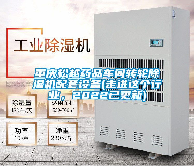 重慶松越藥品車間轉輪除濕機配套設備(走進這個行業(yè)，2022已更新)