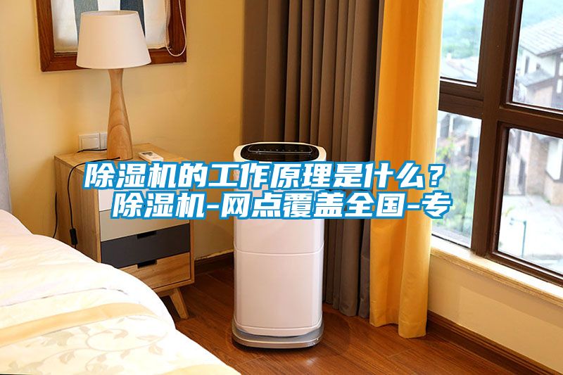 除濕機的工作原理是什么？ 除濕機-網點覆蓋全國-專