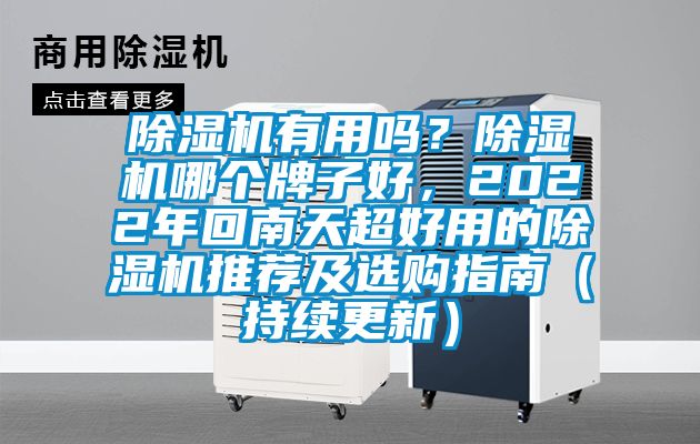 除濕機有用嗎？除濕機哪個牌子好，2022年回南天超好用的除濕機推薦及選購指南（持續更新）