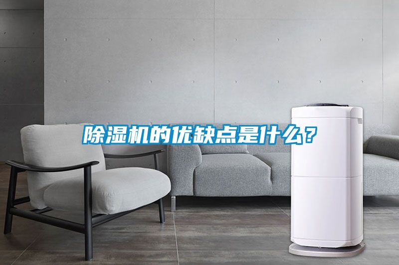 除濕機的優(yōu)缺點是什么？