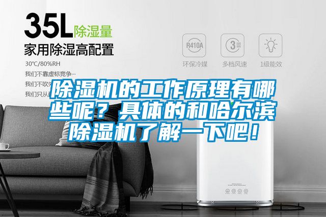 除濕機(jī)的工作原理有哪些呢？具體的和哈爾濱除濕機(jī)了解一下吧！