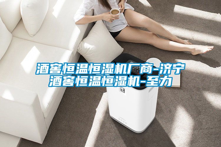 酒窖恒溫恒濕機(jī)廠(chǎng)商-濟(jì)寧酒窖恒溫恒濕機(jī)-至力