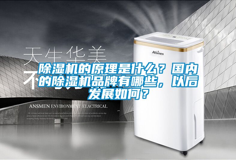 除濕機的原理是什么？國內的除濕機品牌有哪些，以后發展如何？