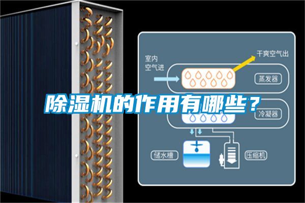除濕機的作用有哪些？
