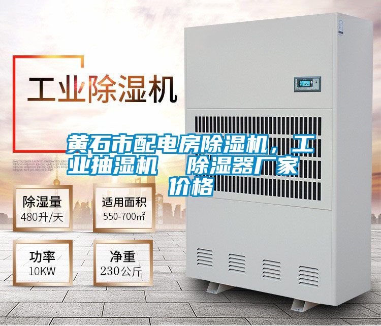 黃石市配電房除濕機(jī)，工業(yè)抽濕機(jī)  除濕器廠家 價(jià)格