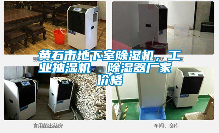 黃石市地下室除濕機，工業(yè)抽濕機  除濕器廠家 價格
