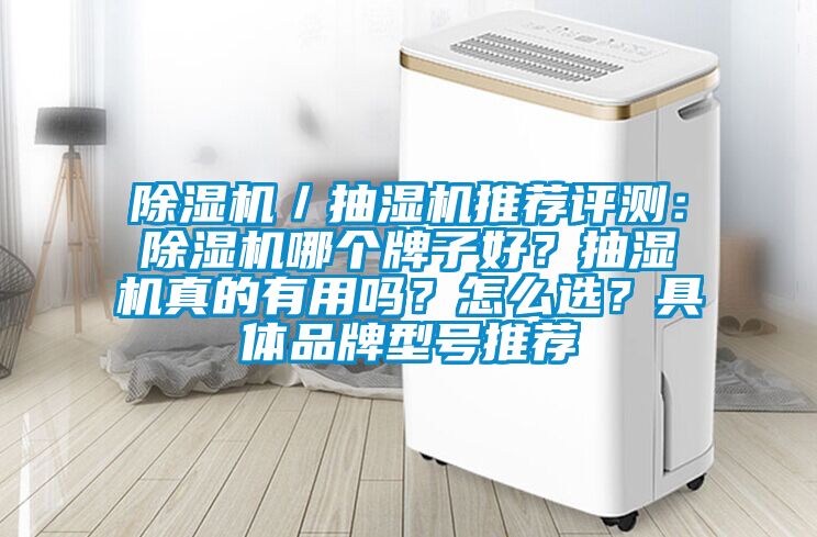 除濕機／抽濕機推薦評測：除濕機哪個牌子好？抽濕機真的有用嗎？怎么選？具體品牌型號推薦