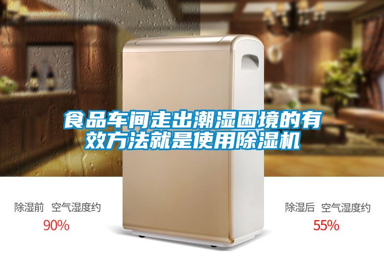 食品車(chē)間走出潮濕困境的有效方法就是使用除濕機(jī)