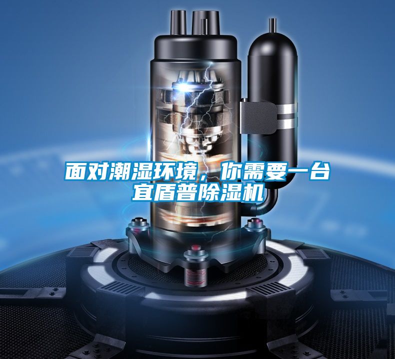 面對潮濕環境，你需要一臺宜盾普除濕機