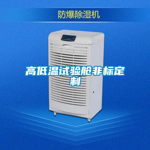 高低溫試驗艙非標(biāo)定制