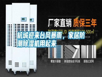 知識(shí)百科杭城迎來(lái)臺(tái)風(fēng)暴雨，家居防潮除濕機(jī)用起來(lái)