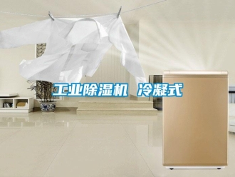 新聞資訊工業(yè)除濕機 冷凝式