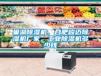 企業新聞巢湖除濕機、合肥峻邁除濕機廠家、工業除濕機多少錢