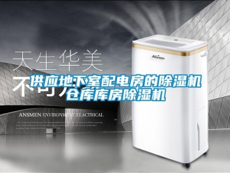 企業(yè)新聞供應地下室配電房的除濕機倉庫庫房除濕機