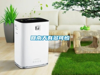 企業新聞回南天有多可怕