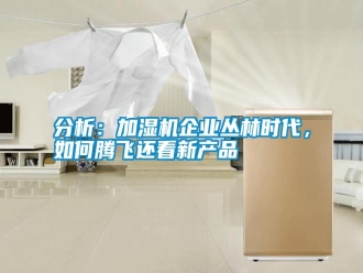 企業(yè)新聞分析：加濕機企業(yè)叢林時代，如何騰飛還看新產(chǎn)品