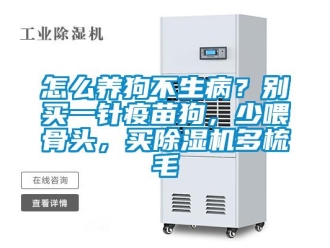 行業(yè)新聞怎么養(yǎng)狗不生病？別買一針疫苗狗，少喂骨頭，買除濕機(jī)多梳毛