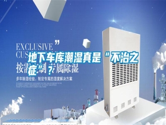 企業(yè)新聞地下車庫潮濕真是“不治之癥”？