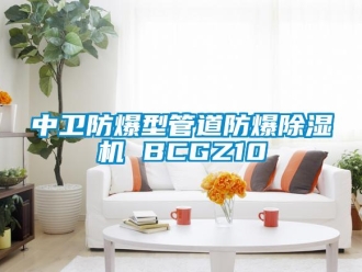 企業(yè)新聞中衛(wèi)防爆型管道防爆除濕機(jī) BCGZ10