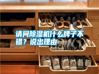 知識百科請問除濕機什么牌子不錯？說出理由