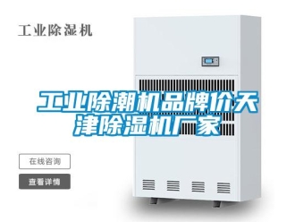 企業(yè)新聞工業(yè)除潮機品牌價天津除濕機廠家