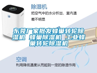 企業新聞東莞廠家批發蜂巢轉輪除濕機 蜂巢除濕機 工業蜂巢轉輪除濕機