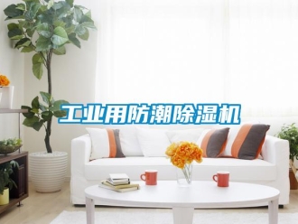 常見問(wèn)題工業(yè)用防潮除濕機(jī)