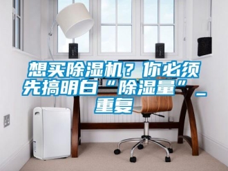 行業(yè)新聞想買(mǎi)除濕機(jī)？你必須先搞明白“除濕量”_重復(fù)