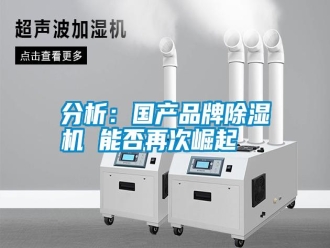 企業新聞分析：國產品牌除濕機 能否再次崛起