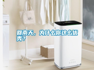 企業新聞回南天，為什么你這么優秀？