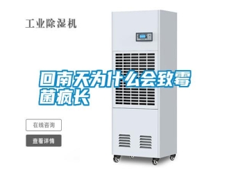 企業新聞回南天為什么會致霉菌瘋長