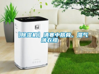 企業新聞【除濕機】清寒中筋骨，濕氣薄衣襟