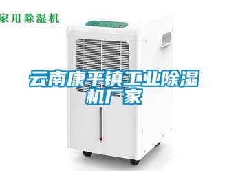 企業新聞云南康平鎮工業除濕機廠家