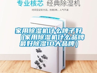 企業新聞家用除濕機什么牌子好（家用除濕機什么品牌最好除濕10大品牌）