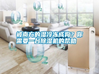 知識(shí)百科被南方的濕冷凍成狗？你需要一臺(tái)除濕機(jī)的幫助