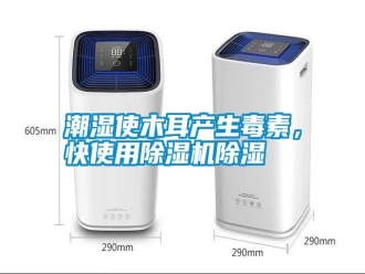 知識百科潮濕使木耳產(chǎn)生毒素，快使用除濕機(jī)除濕