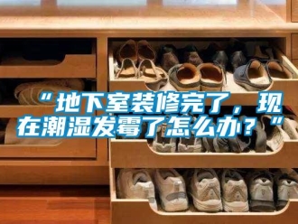 企業新聞“地下室裝修完了，現在潮濕發霉了怎么辦？”