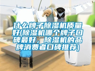 企業(yè)新聞什么牌子除濕機(jī)質(zhì)量好(除濕機(jī)哪個(gè)牌子口碑最好，除濕機(jī)的品牌消費(fèi)者口碑推薦)
