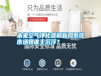 知識(shí)百科未來(lái)空氣凈化器和新風(fēng)系統(tǒng)市場(chǎng)將誰(shuí)主沉??？