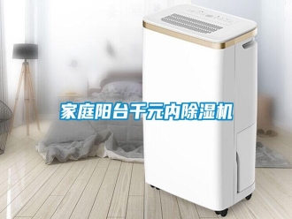 企業(yè)新聞家庭陽臺千元內(nèi)除濕機