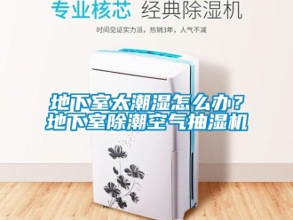 企業新聞地下室太潮濕怎么辦？地下室除潮空氣抽濕機