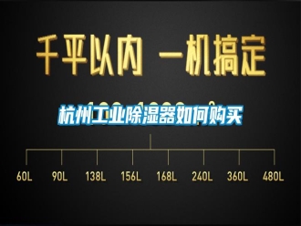 知識(shí)百科杭州工業(yè)除濕器如何購(gòu)買