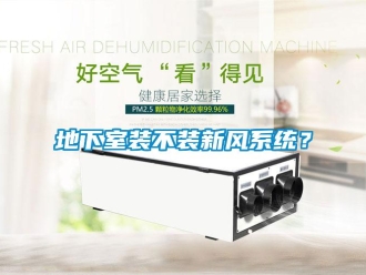 企業(yè)新聞地下室裝不裝新風(fēng)系統(tǒng)？