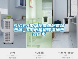 企業(yè)新聞SIGEA帶風(fēng)扇散熱配套加熱器_上海市機(jī)柜除濕加熱器廠家