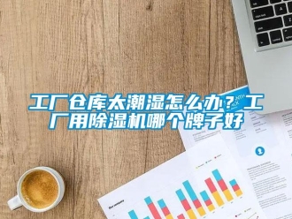 企業(yè)新聞工廠倉庫太潮濕怎么辦？工廠用除濕機哪個牌子好