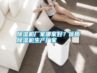 行業(yè)新聞除濕機(jī)廠家哪家好？優(yōu)質(zhì)除濕機(jī)生產(chǎn)廠家
