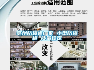 企業新聞亳州防爆柜廠家 小型防爆柜 質量穩定