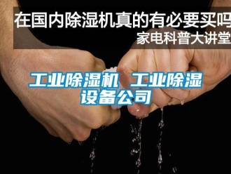 新聞資訊工業(yè)除濕機 工業(yè)除濕設備公司